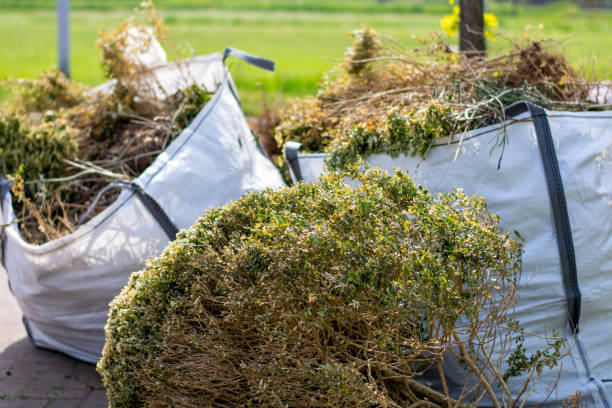 Best Yard Waste Removal  in Riverton, WY